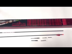 Búsqueda de flechas