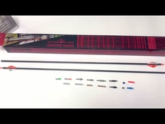 Flechas enteras del carbono