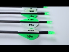 .204 flechas de caza de asesinos